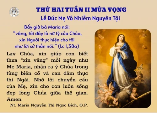 Lễ Mẹ Vô Nhiễm Nguyên Tội