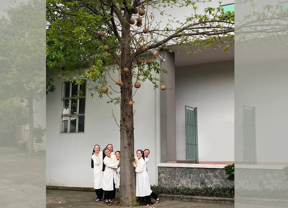 Lối thẳng, dốc cao và bóng mát