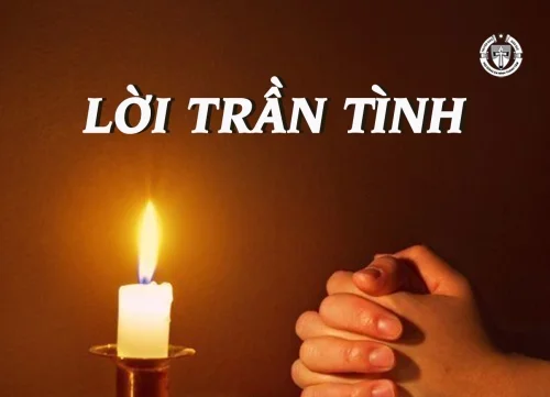 Lời trần tình
