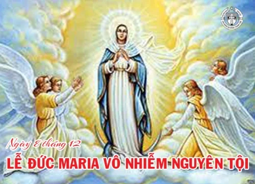Ngày 8 tháng 12 - Lễ Đức Maria Vô Nhiễm Nguyên Tội