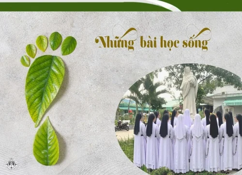 Những bài học sống