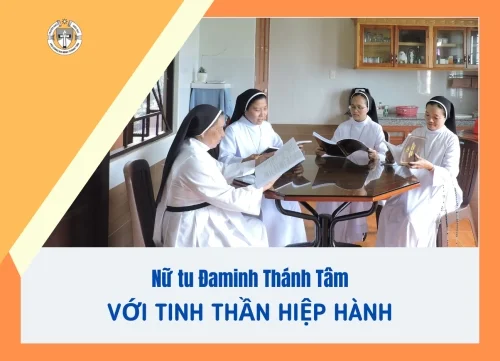 Nữ tu Đaminh Thánh Tâm với tinh thần Hiệp hành