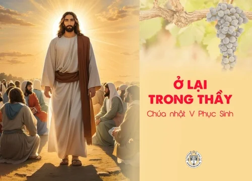Ở lại trong Thầy - Chúa Nhật V Phục Sinh