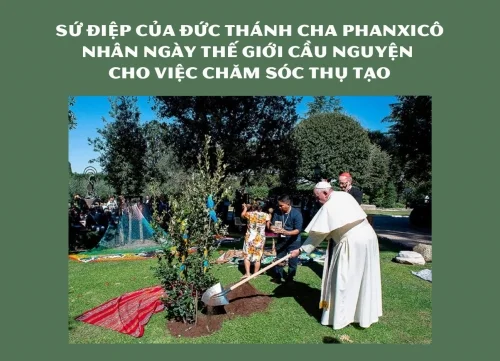 Sứ điệp của Đức Thánh Cha Nhân Ngày Thế giới cầu nguyện cho việc chăm sóc thụ tạo, năm 2024