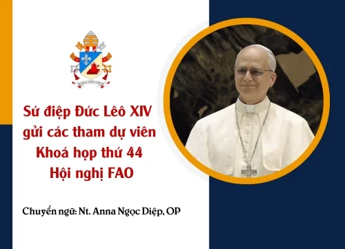 Sứ điệp Đức Lêô XIV gửi các tham dự viên Khoá họp thứ 44 Hội nghị FAO