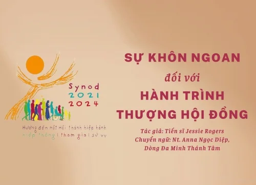 Sự khôn ngoan đối với hành trình Thượng Hội Đồng