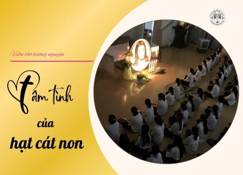 Tâm tình của hạt cát non
