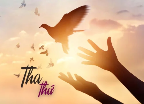 Tha thứ