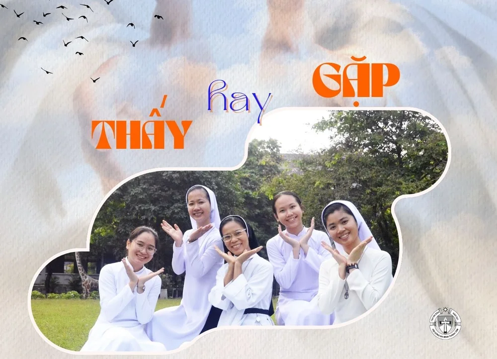 Thấy hay gặp