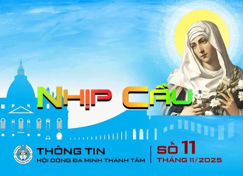 Thông tin Tháng 11 năm 2025