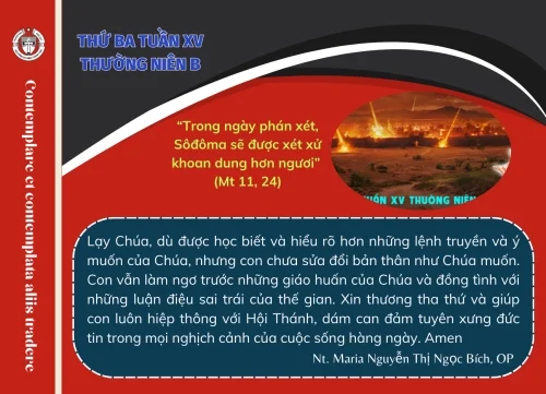 Thứ Ba tuần XV Thường niên B