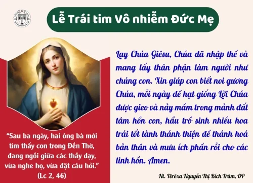 Thứ Bảy tuần XII Thường Niên
