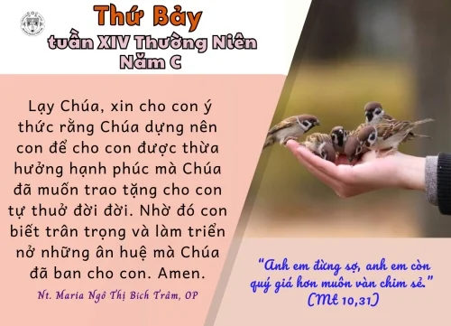 Thứ Bảy tuần XIV Thường niên