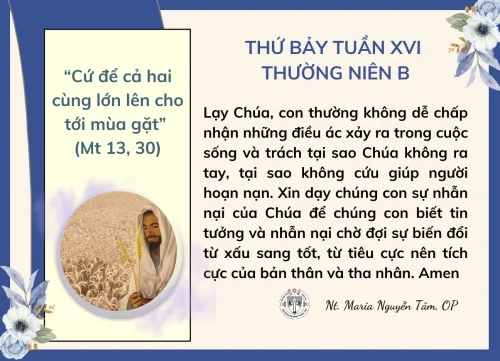 Thứ Bảy tuần XVI Thường niên B