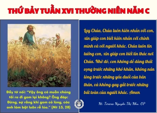 Thứ Bảy Tuần XVI Thường Niên Năm C