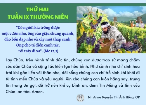 Thứ Hai tuần IX Thường niên