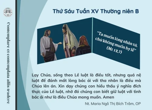 Thứ Sáu tuần XV Thường niên B