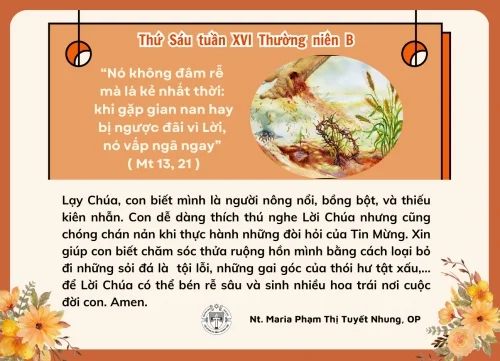 Thứ Sáu tuần XVI Thường niên B