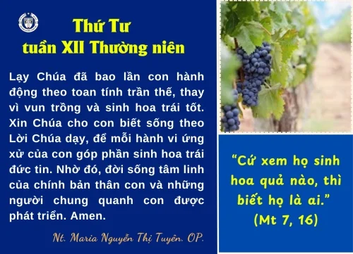 Thứ Tư tuần XII Thường niên