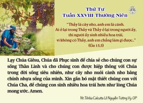 Thứ Tư tuần XXVIII thường niên