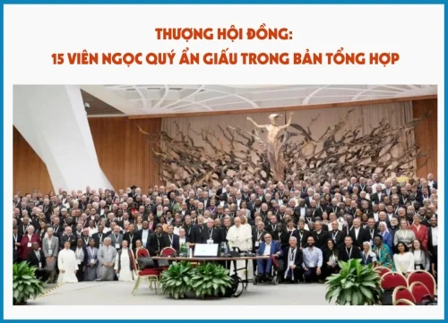 Thượng hội đồng: 15 viên ngọc quý ẩn giấu trong bản tổng hợp