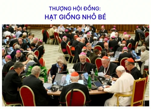 Thượng hội đồng: Hạt giống nhỏ bé