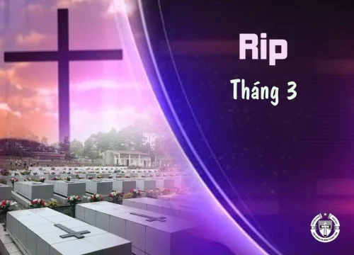 Tiểu sử quý chị đã qua đời - Tháng 3