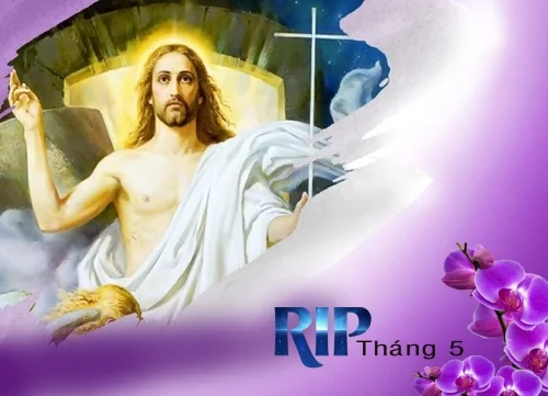 Tiểu sử quý chị đã qua đời - Tháng 5