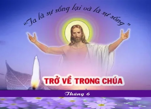 Tiểu sử quý chị đã qua đời - Tháng 6