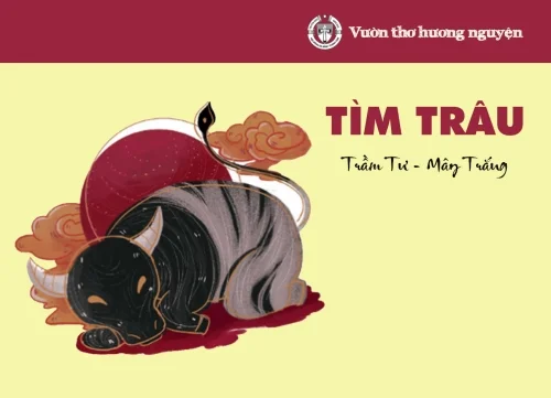 Tìm trâu