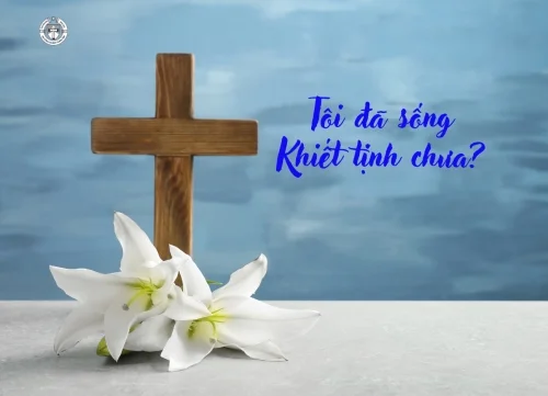 Tôi đã sống Khiết tịnh chưa?