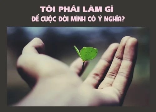 Tôi phải làm gì để cuộc đời mình có ý nghĩa?