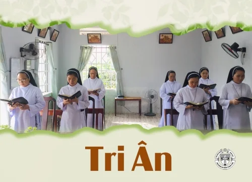 Tri Ân