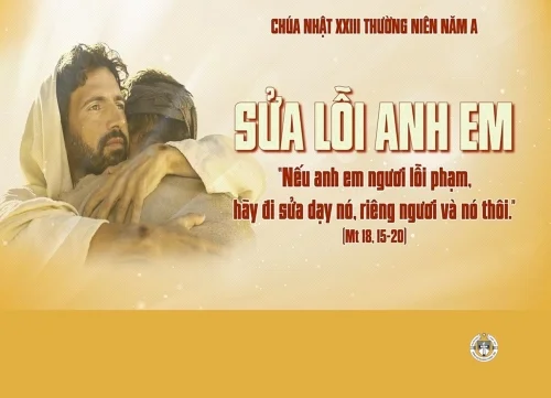Việc sửa lỗi trong Giáo Hội