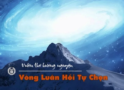 Vòng luân hồi tự chọn