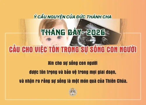 Ý cầu nguyện của Đức Thánh Cha - Tháng 7/2026