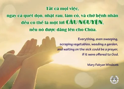 Ý Lực Sống - 03 tháng 11