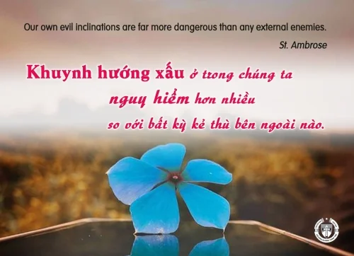 Ý Lực Sống - 07 tháng 12