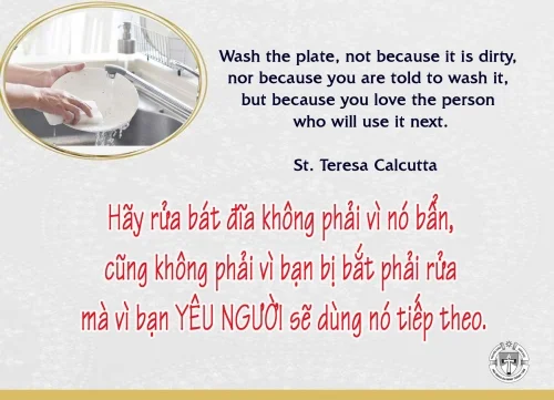 Ý Lực Sống - 11 tháng 01