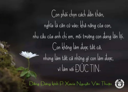 Ý Lực Sống - 12 tháng 01