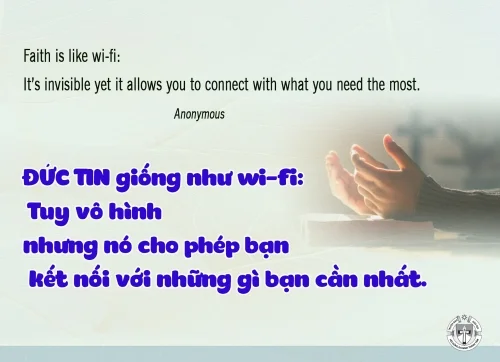 Ý Lực Sống - 16 tháng 01
