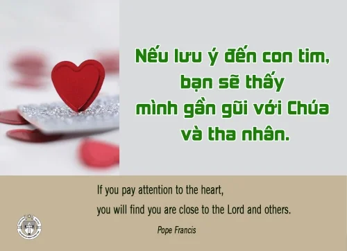 Ý Lực Sống - 17 tháng 01