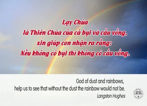 Ý Lực Sống - 23 tháng 01