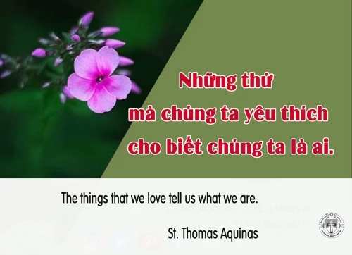 Ý Lực Sống - 28 tháng 01