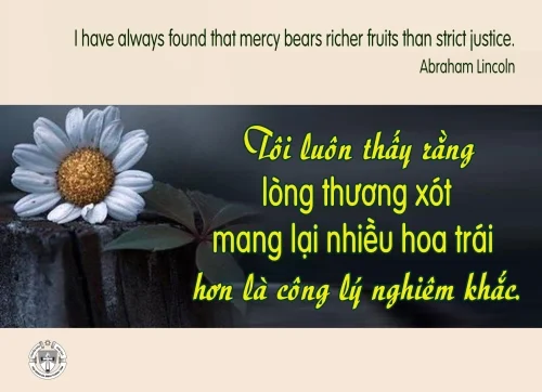 Ý Lực Sống - 29 tháng 01