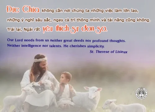 Ý Lực Sống - ngày 01/10/2024