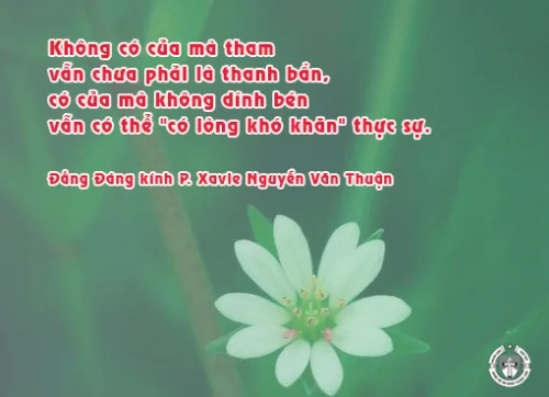 Ý lực sống - ngày 06/9/2024
