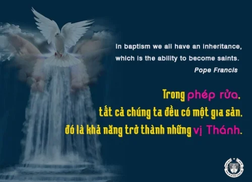 Ý lực sống - ngày 07/9/2024