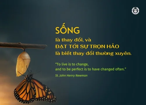 Ý lực sống - ngày 1/4/2026