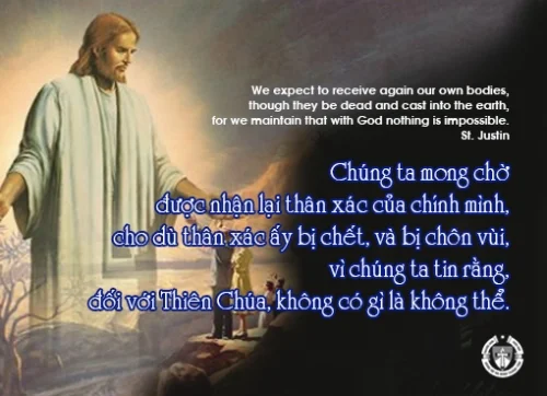 Ý lực sống - ngày 1/6/2024